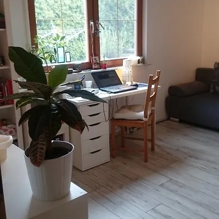 Live Eco In Freiberg - For Business & Students לינה וארוחת בוקר *
